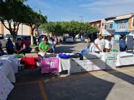 Servicio Nacional de Empleo Morelos presente en la Jornada por la Paz y el Desarrollo Comunitario en Tepalcingo