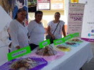 Se llevo acabo la clausura y pago de beca a beneficiarios del curso de Panadería  en Tetecala Bolsos Decorativos en Coatlán del Río y Productos de Belleza e Higiene en Mazatepec