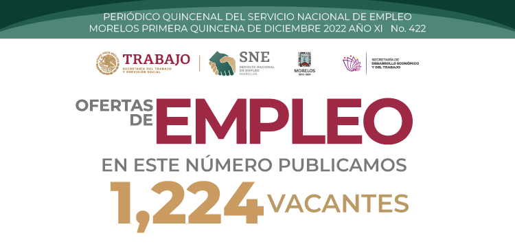 Servicio Nacional De Empleo Morelos Sne Morelos 8850